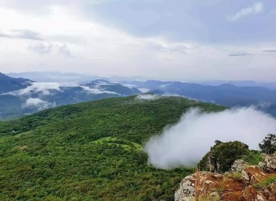 Day 4: Luxury Safari in Yala