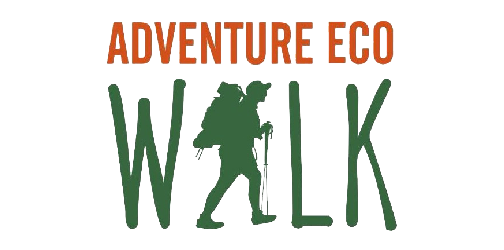 Your Tourism Partner