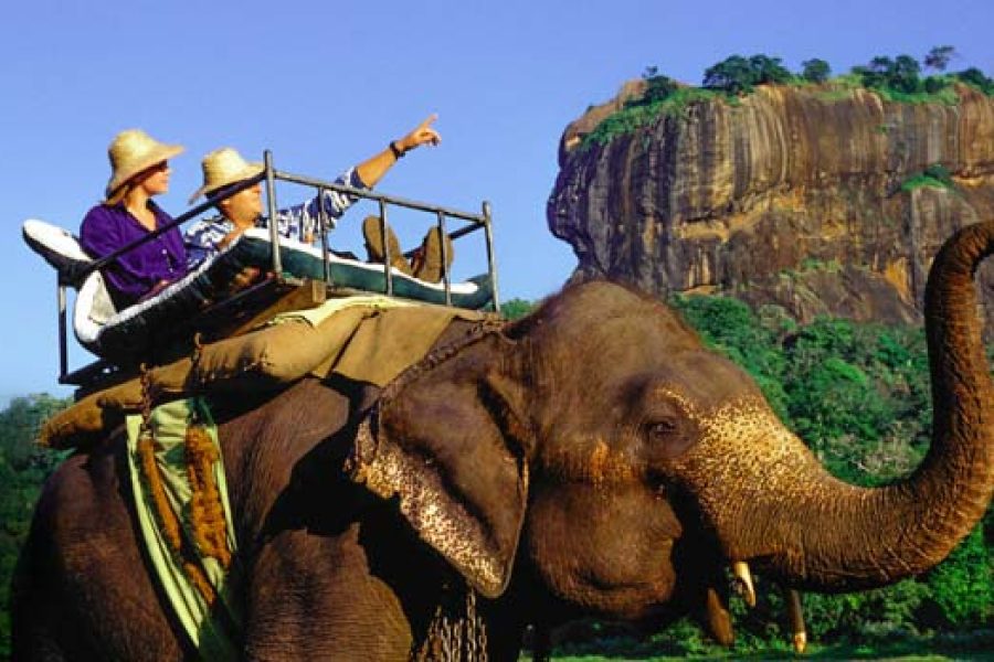 Sigiriya & Dambulla One-Day Adventure